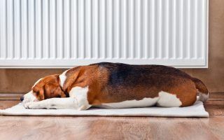 Energie besparen in huis, wat kun je zelf doen?